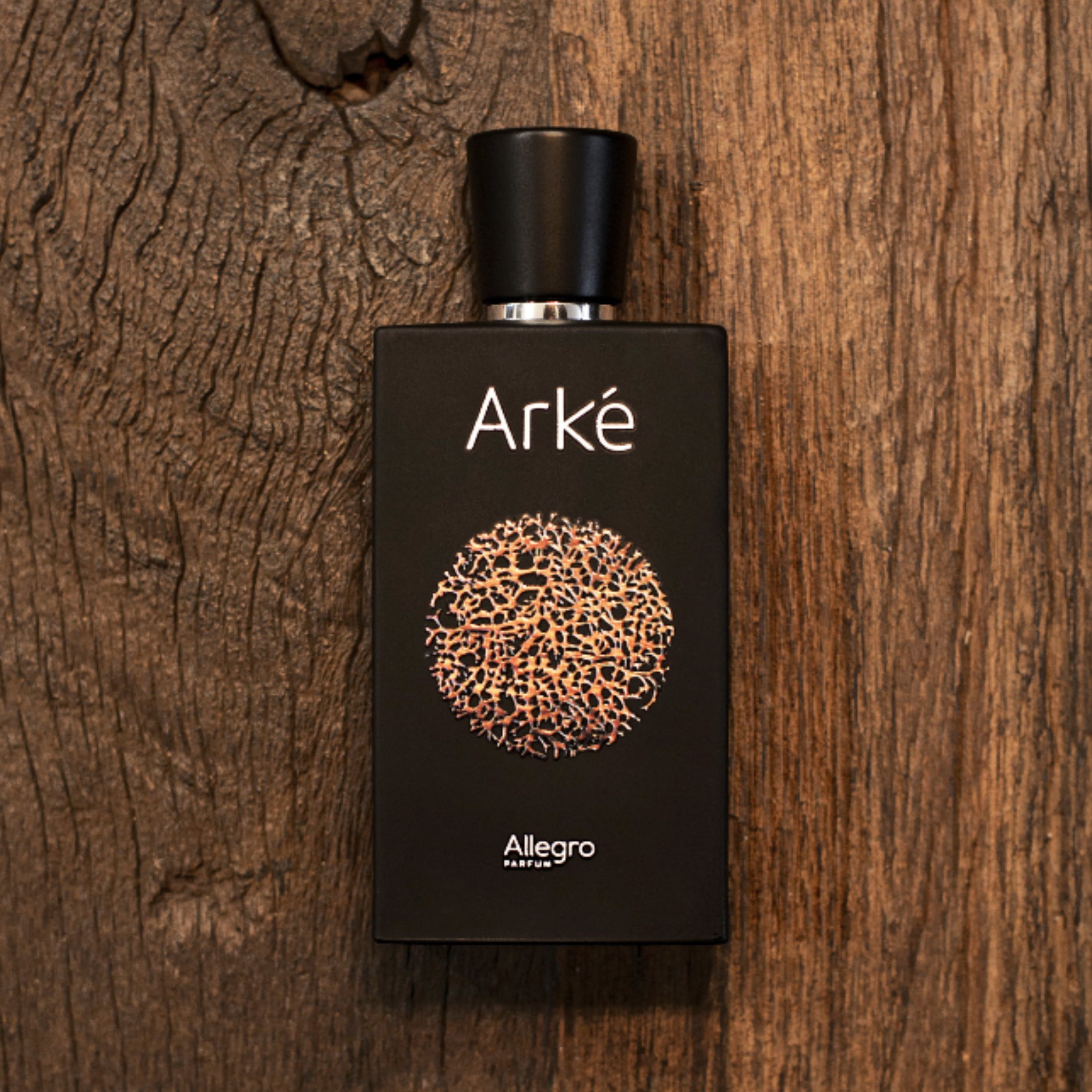 Arkè