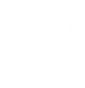 Devier logo