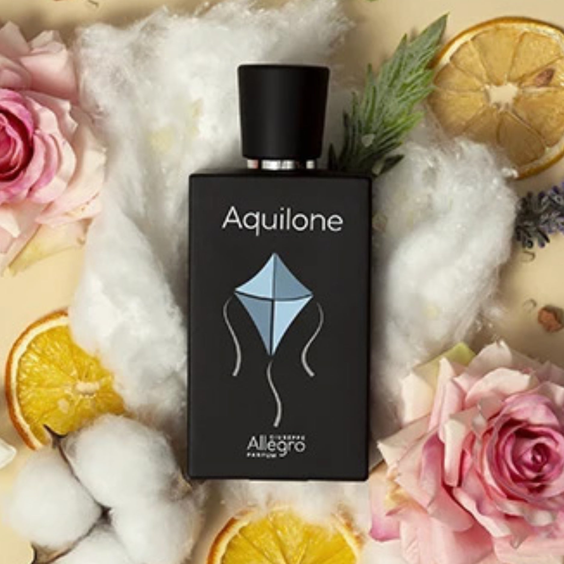 Aquilone